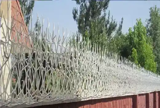 حفاظ شاخ گوزنی