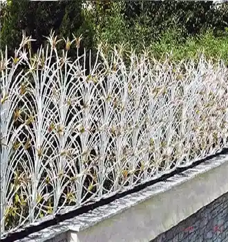 حفاظ لیلیوم